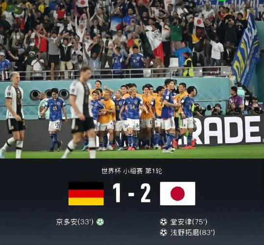日本vs德国铲球视频